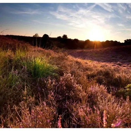 In Near Veluwe, Cleaning Included Holiday home