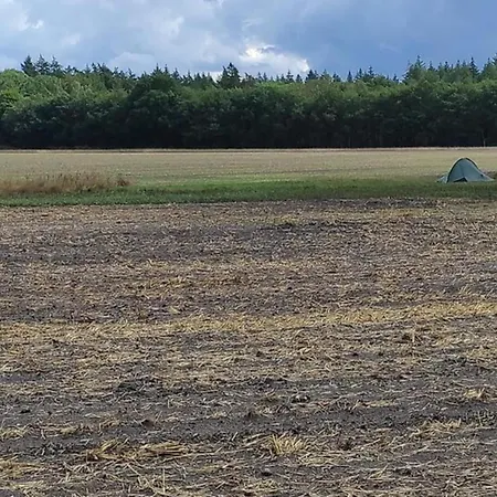 In Near Veluwe, Cleaning Included Holiday home *