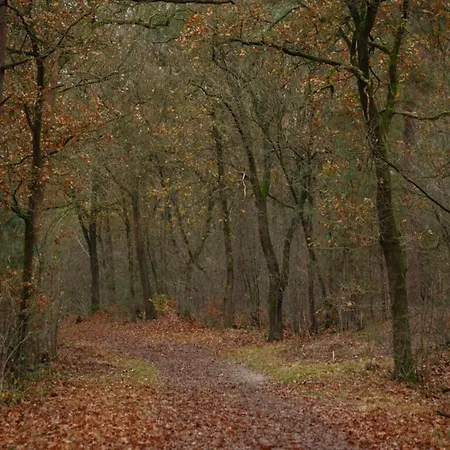 In Near Veluwe, Cleaning Included * Voorthuizen