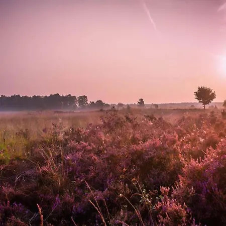 Holiday home In Near Veluwe, Cleaning Included