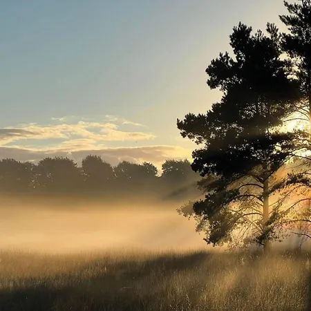 In Near Veluwe, Cleaning Included Holiday home Voorthuizen