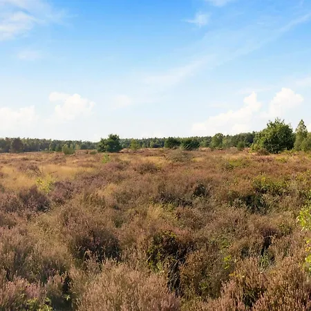 In Near Veluwe, Cleaning Included Voorthuizen