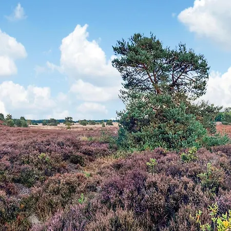 In Near Veluwe, Cleaning Included Holiday home