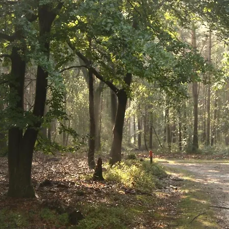 In Near Veluwe, Cleaning Included * Voorthuizen